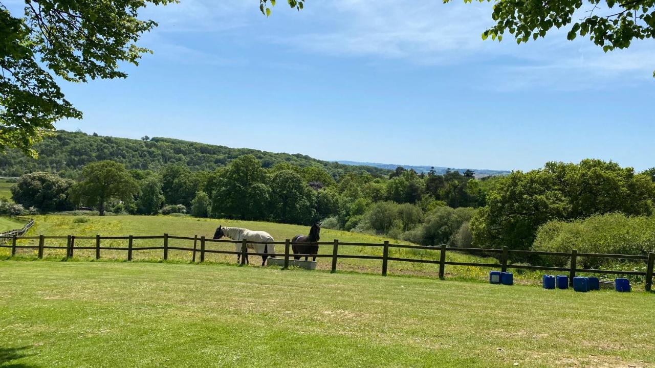 Conkers Lodge For 6 With Hot Tub & Secluded Decking - Spa Resort In Devon Chudleigh Bagian luar foto